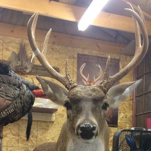 Meet your Posher, Timothy